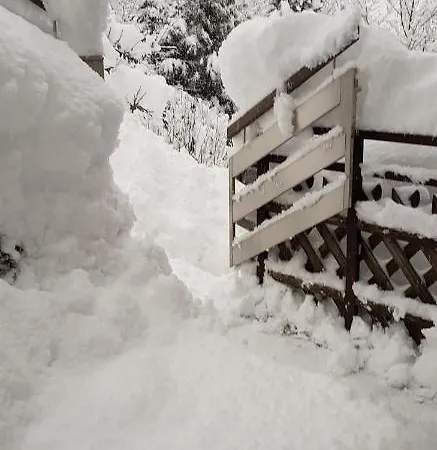 Reiter, Haus * Finkenberg