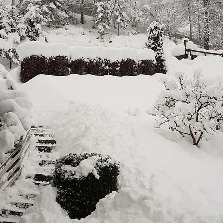 Reiter, Haus Apartment Finkenberg