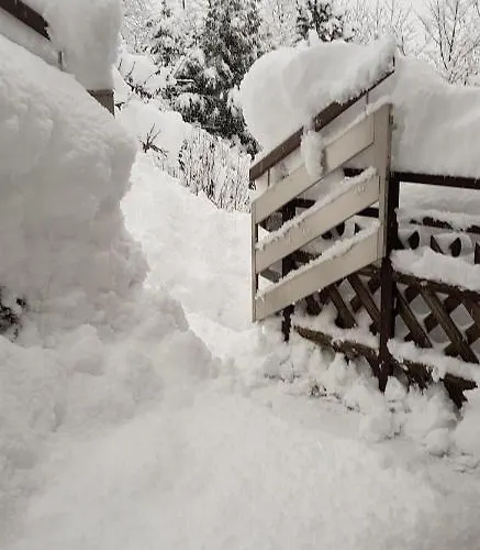 Reiter, Haus * פינקנברג