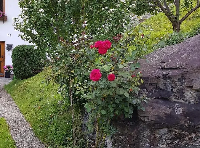 Reiter, Haus דירה *